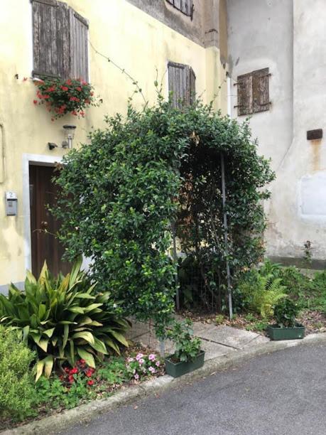 Il Casale Del Miele Fraforeano Exterior photo